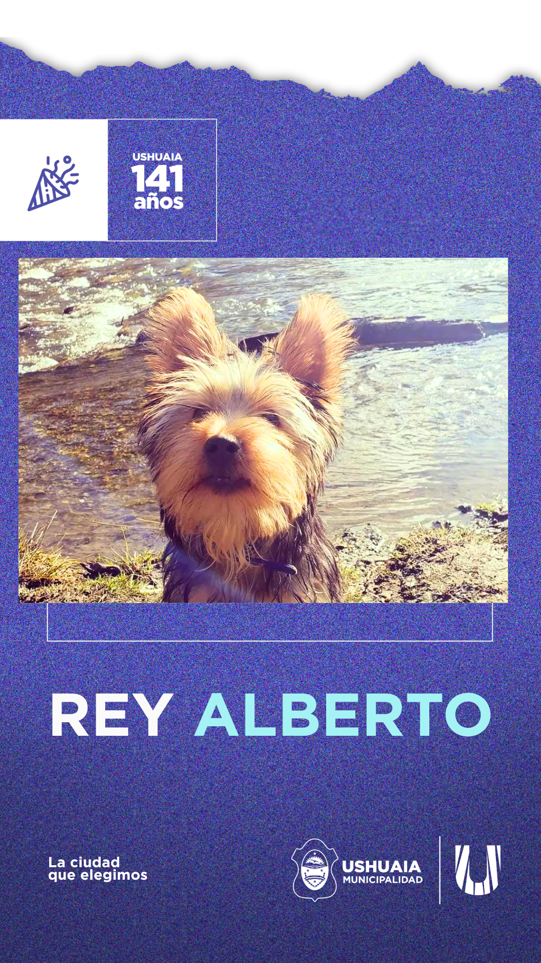 REY ALBERTO 2